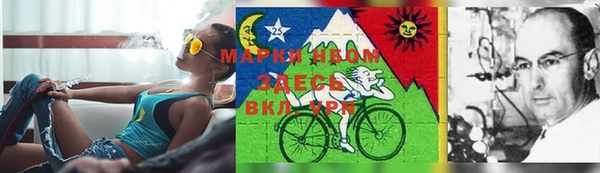 каннабис Баксан