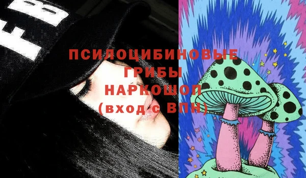 молекула духа Балахна