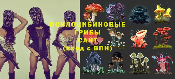 молекула духа Балахна