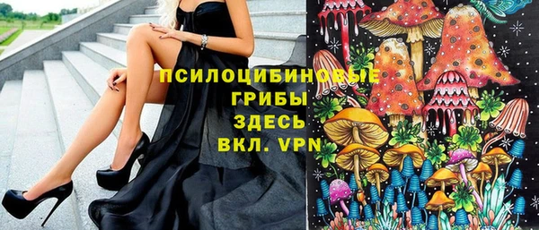 молекула духа Балахна