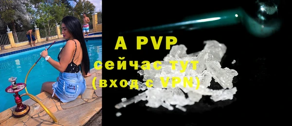 молекула духа Балахна