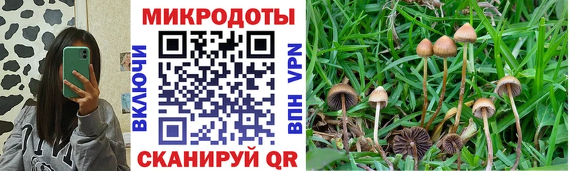 Галлюциногенные грибы GOLDEN TEACHER  где купить   Омск 